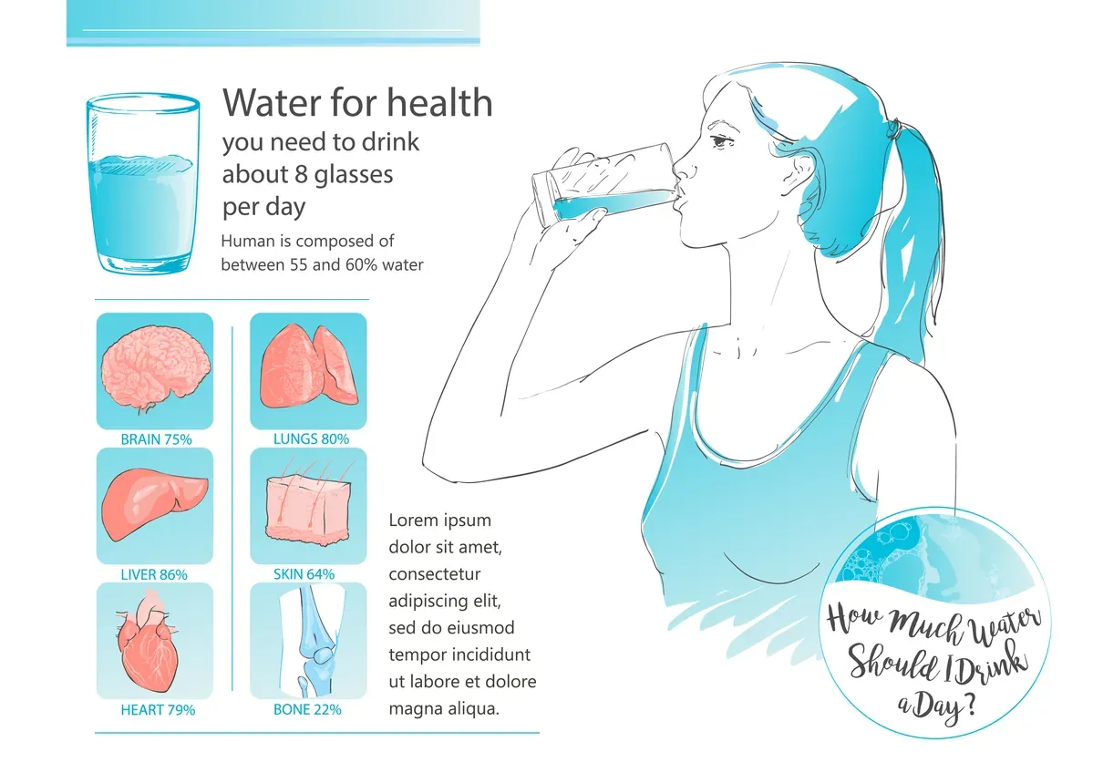 Woman Drinking Infographic