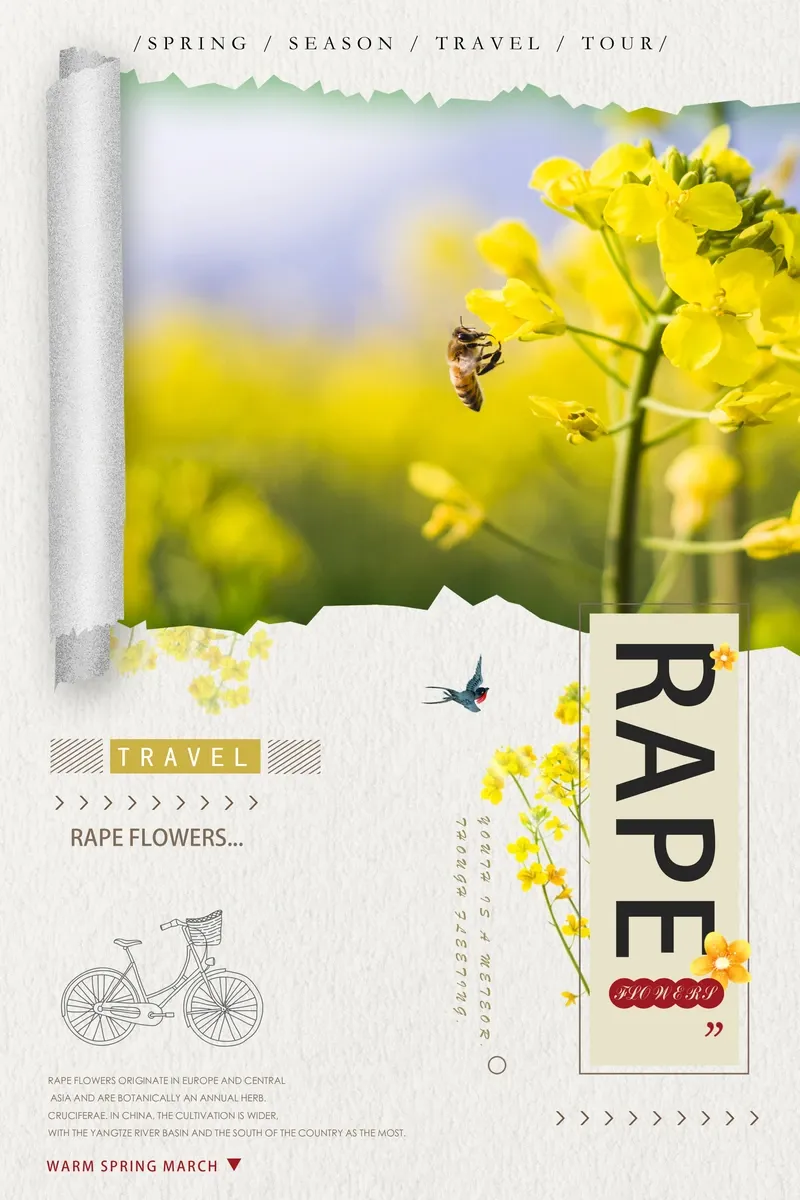 Rapeseed Flower Fields Spring Tour Poster