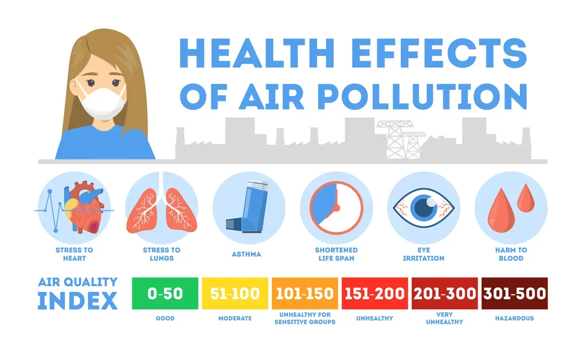 Air Pollution Effects