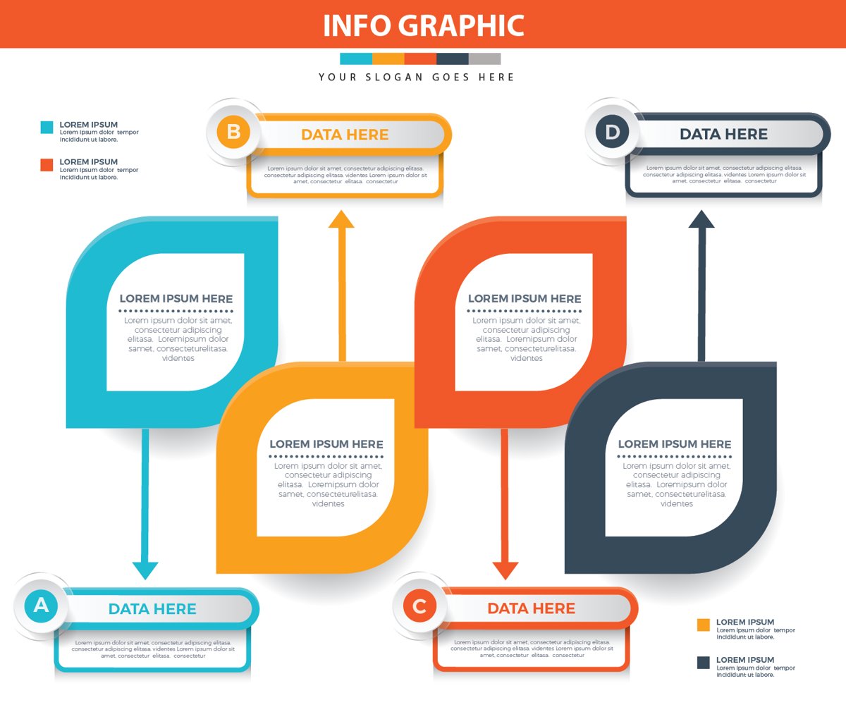 113 Infographic