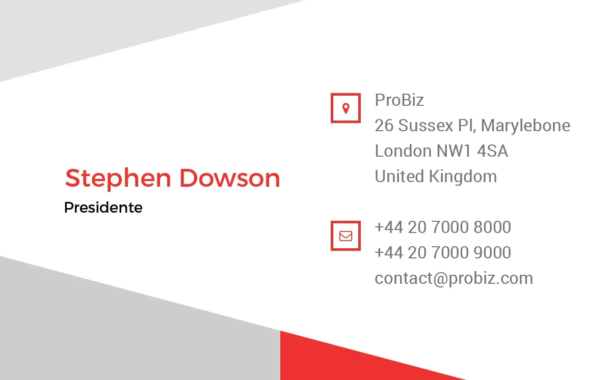 Probiz Stationery Elements - Business Card B