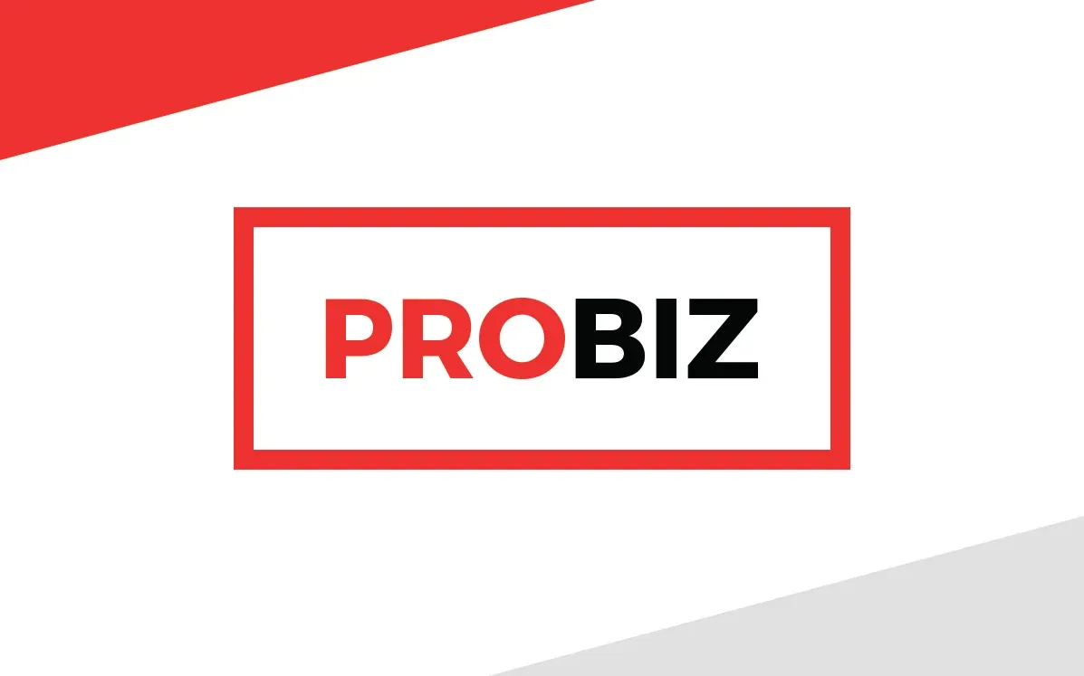 Probiz Stationery Elements - Business Card A