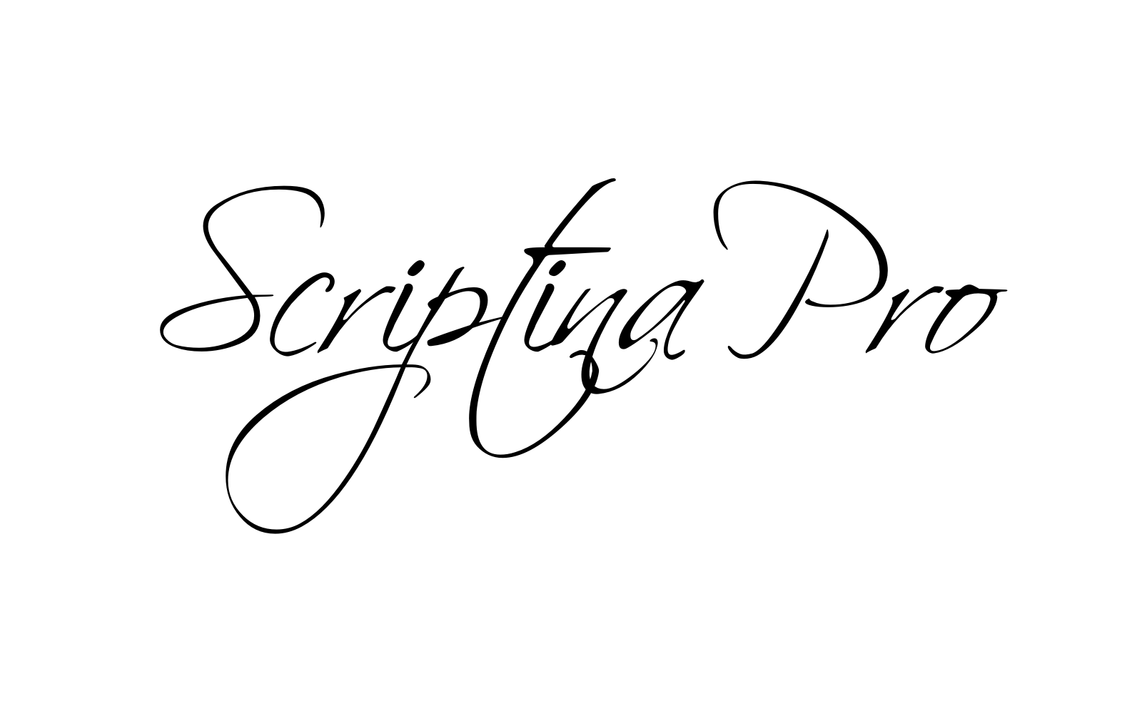 Scriptina Pro